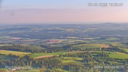 Žalý
