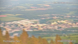 Žalý