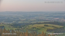 Žalý