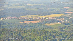 Žalý