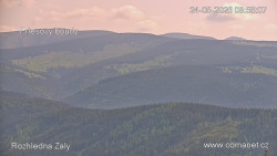 Žalý