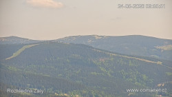 Žalý