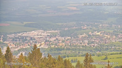 Žalý