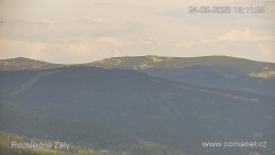 Žalý