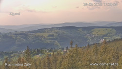 Žalý