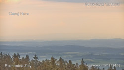 Žalý