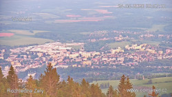 Žalý