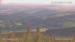 Žalý