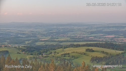 Žalý