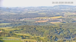 Žalý