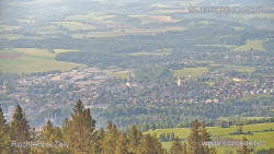 Žalý