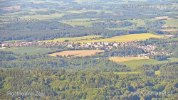 Žalý