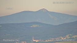 Žalý