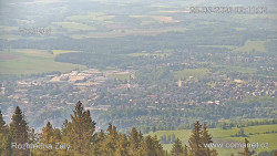 Žalý