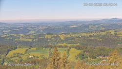 Žalý