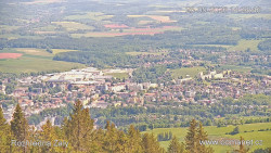 Žalý
