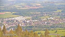 Žalý