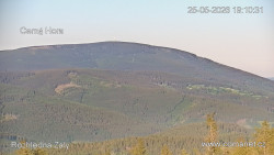 Žalý