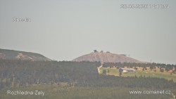 Žalý