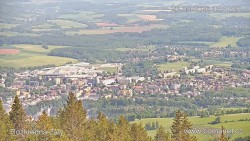 Žalý
