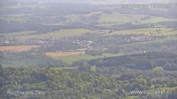 Žalý