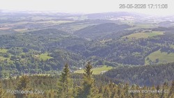 Žalý