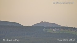 Žalý