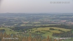 Žalý