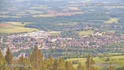 Žalý