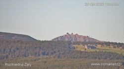 Žalý