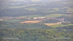 Žalý