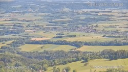 Žalý