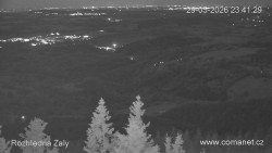 Žalý