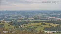 Žalý