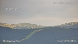 Žalý