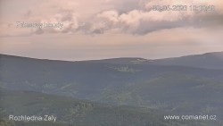 Žalý