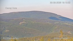 Žalý