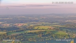 Žalý