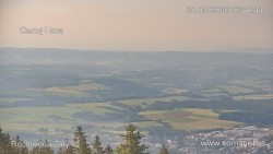 Žalý