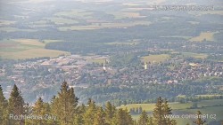 Žalý