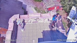 Žalý