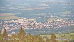 Žalý