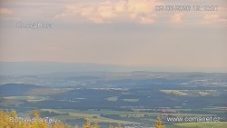 Žalý