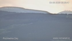 Žalý