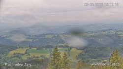 Žalý