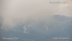 Žalý