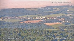 Žalý