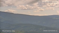 Žalý
