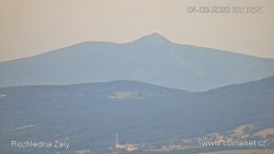 Žalý