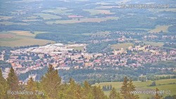Žalý